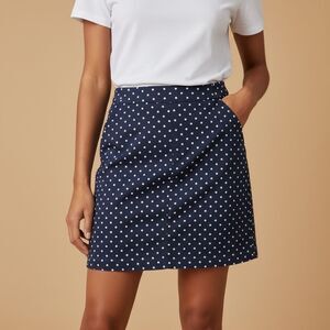 J.Crew Polka Dot Chambray Mini Skirt | Size 0